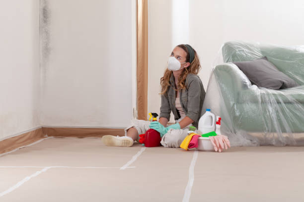 Reliable Mold Testing contractor in Norwood, NJ by WQB Mold Removal