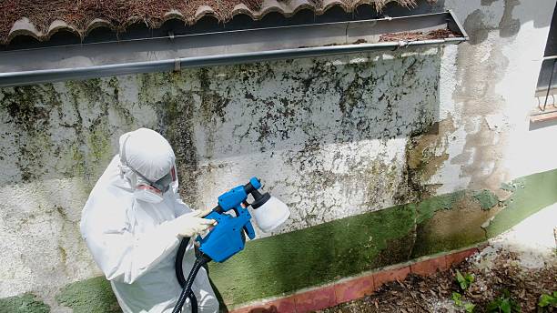 Top rated local Mold Testing specialists in Norwood, NJ